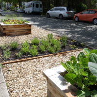 jardin avec des idées de conception de lits