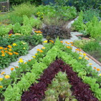 giardino con letti in campagna