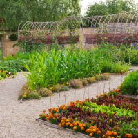 jardin avec des lits à la maison idées de conception