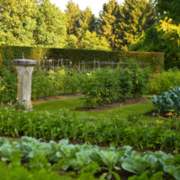 jardin avec des lits au chalet photo