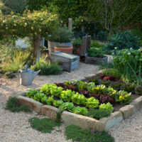 jardin avec des lits à la campagne idées de photo