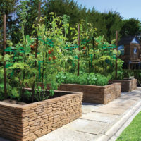 garden with beds at the cottage of the idea