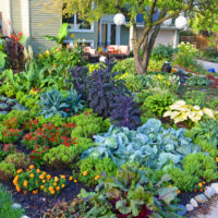 jardin avec des lits à la maison idées de conception