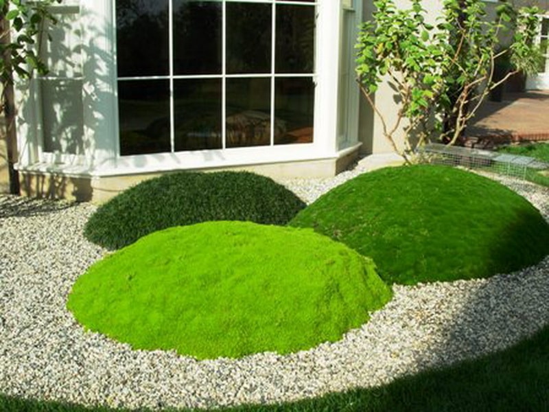 géoplastie dans le jardin