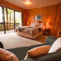 bedroom in a wooden house with a sofa