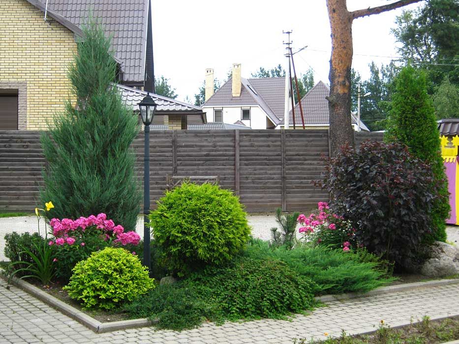 Parterre de fleurs dans le jardin des conifères