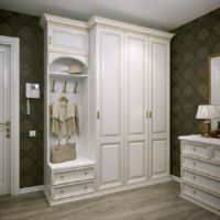 Classic wardrobe in a modern hallway