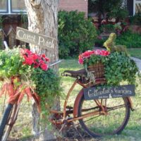 Stari bicikl kao vrtna kompozicija