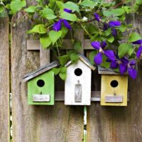 Birdhouses su una staccionata di legno