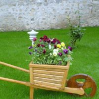 Aiuola sotto forma di un'auto da giardino