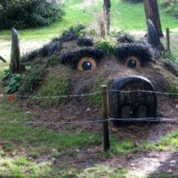 Original Alpine slide in the garden