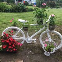 Bici da giardino con vasi di fiori