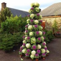 Christmas tree in the garden of cauliflower