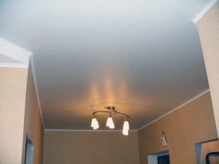 Painted ceiling in the hallway and a chandelier with horns