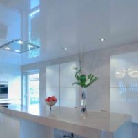 an example of an unusual interior ceiling in the kitchen picture