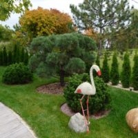 Scultura di un cigno in giardino