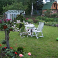 Vrtne stolice na zelenom travnjaku