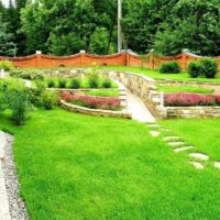 Photo of a successful landscape design project