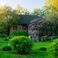 Giardino con un vecchio pozzo