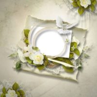 Assiette de mariage sur la table de mariage