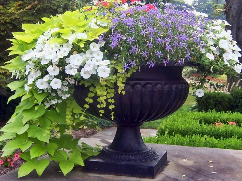 Vaso da fiori con abbellimento di un giardino di campagna