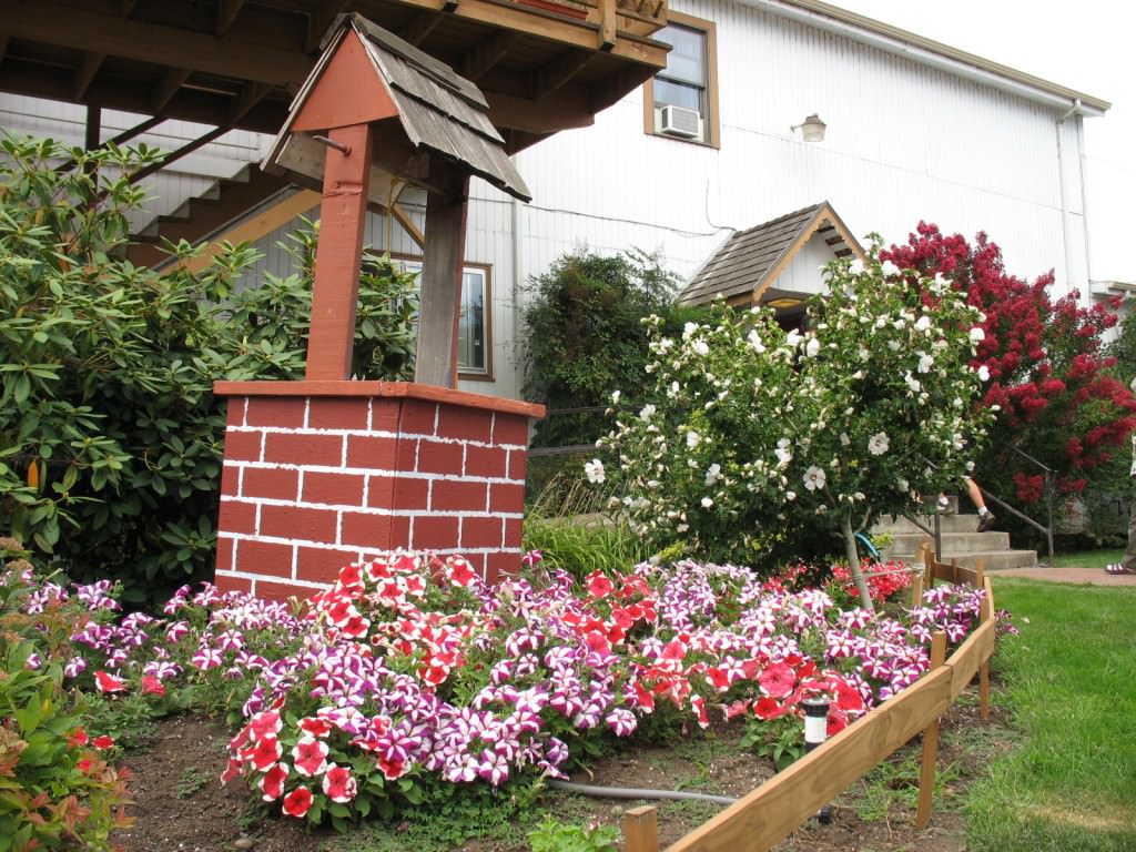 Blooming annuals in the flowerbed near the well