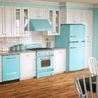 Retro style kitchen-living room interior