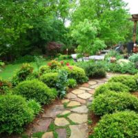 Stone path through the garden