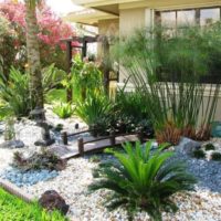 Corner of a tropical garden in a summer cottage