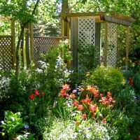 Pergola e una staccionata di legno su un piccolo appezzamento