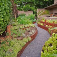 Tall flower beds in the garden landscape