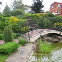 Ponte su uno stagno con ringhiera in metallo