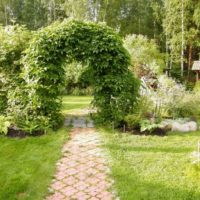 Un arco da giardino intrecciato con anelli su un percorso del marciapiede