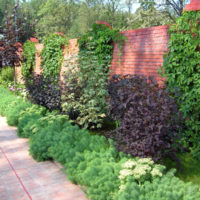 Decoration of a brick fence with girl's grapes