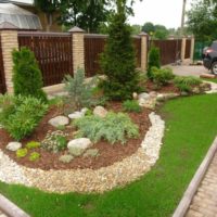 Conifers in the flower bed in front of the main entrance to the site