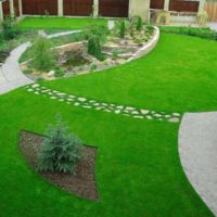 Garden paths in the garden landscape