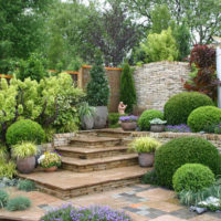 Spherical shrubs in a private garden design