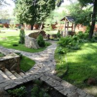 Stone paths in the garden landscape