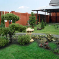 Taman rumput dengan pokok renek