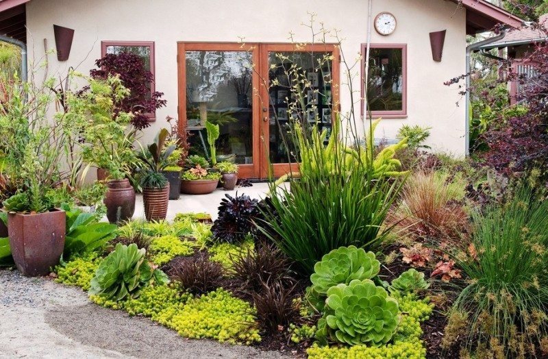 Aiuola con perenni decorativi e fiori di fronte a una casa di campagna