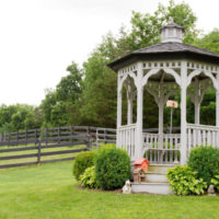 Padroni di casa e arborvitae di fronte a un gazebo in stile classico