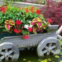 Panier de fleurs avec fleurs dans la décoration d'un étang de jardin