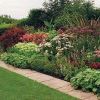 Un mélange luxuriant au bord du jardin