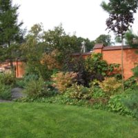 Composition of coniferous and deciduous trees along a brick fence