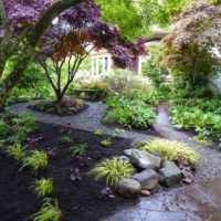 Shady plot of a country garden