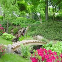 Ponticello di legno sopra l'insenatura del giardino