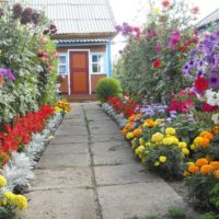 Flowerbeds di sepanjang tepi jalan taman