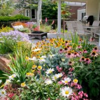 Flowerbed مع النباتات المعمرة تتفتح أمام شرفة مفتوحة