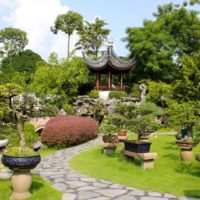 Giardino in stile orientale in un cottage estivo