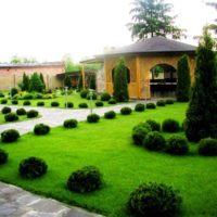 Landscaping garden in a regular style